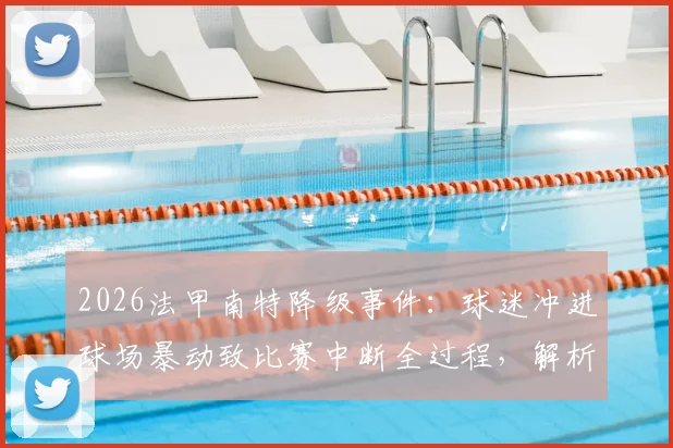 2026法甲南特降级事件：球迷冲进球场暴动致比赛中断全过程，解析球迷过激行为原因与法律责任